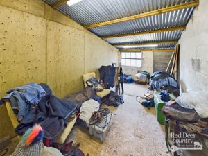 Rug Room- click for photo gallery